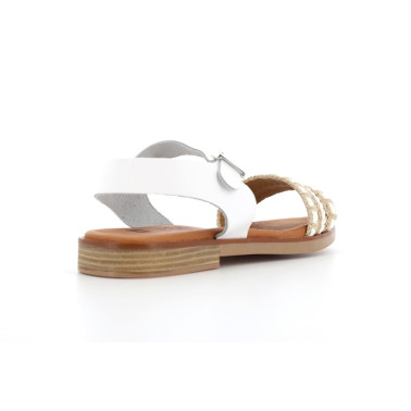 TELMA 35 41