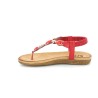 NECUTE 36 41