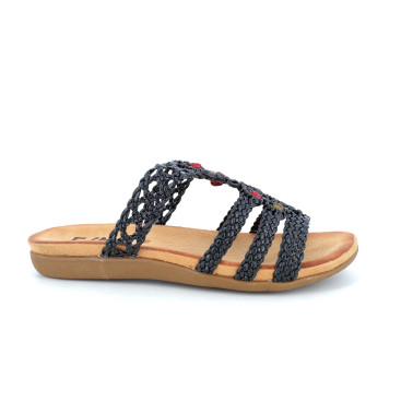 NEDITION 36 41