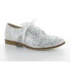 HEVEA 36 40