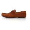 BAHAMA NEW  39 46