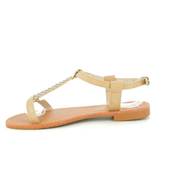 DELIA 36 41