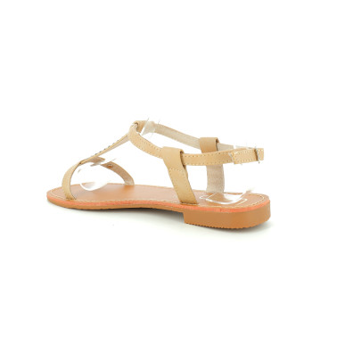 DELIA 36 41