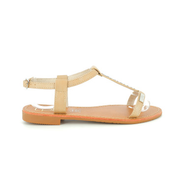 DELIA 36 41