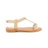 DELIA 36 41