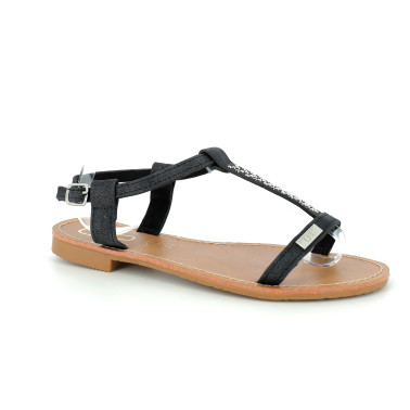 DELIA 36 41