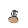 DELIA 36 41