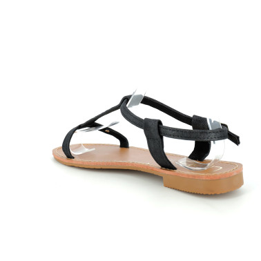 DELIA 36 41