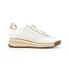 MELBA 36 40