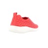 LIBERTE 36 41