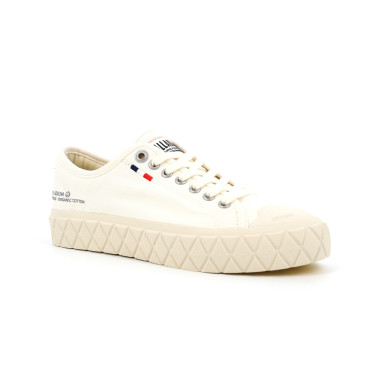 PALLA  ACE CVS ORG 36 43