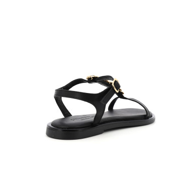 ZANCALE 36 41