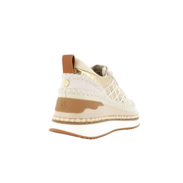 ECALE 36 40