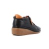 HADAL 36 41