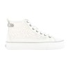 MUSTADENTI 1272502 36 41