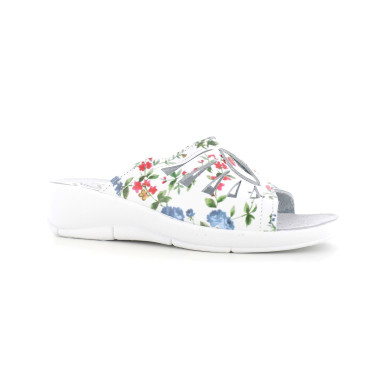 ALIX E18 36 41