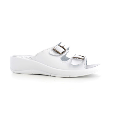 ALCANE 36 41