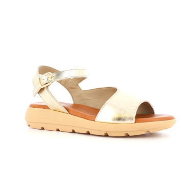 DORKANI 36 41