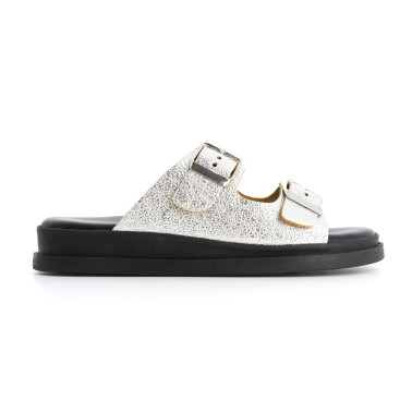 TALINA 36 41