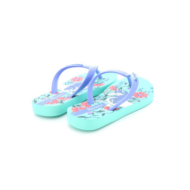 TEMAS XIV KIDS 25 34