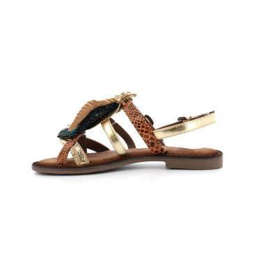 RABALE 36 41