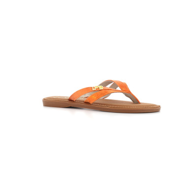 IZEL 36 41