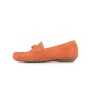 FUNELLE F1429 35 41