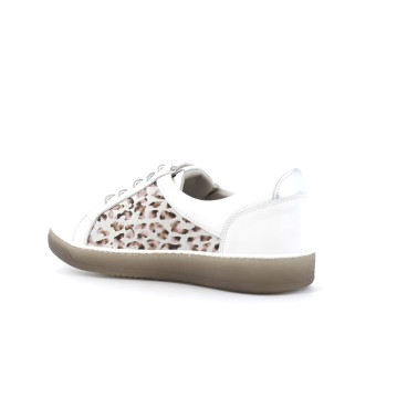 DORPLATO D8506 36 41