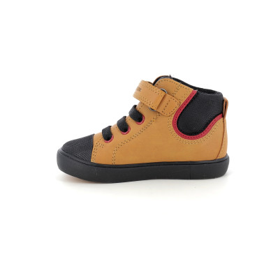 GEODOUBLY B361NB 22 27