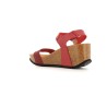 CAMELIS E22 35 41