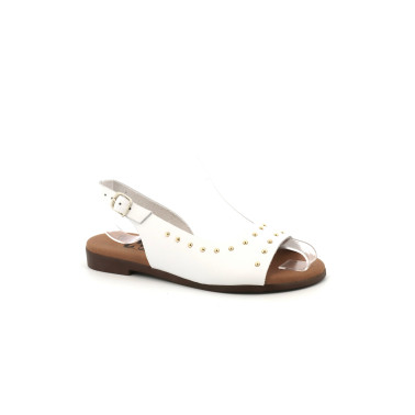 EVASOIT 35 41