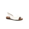 EVASOIT 35 41