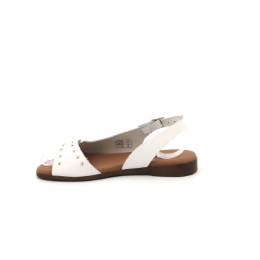 EVASOIT 35 41