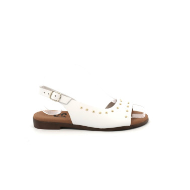 EVASOIT 35 41
