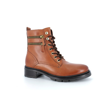 APALE 36 41