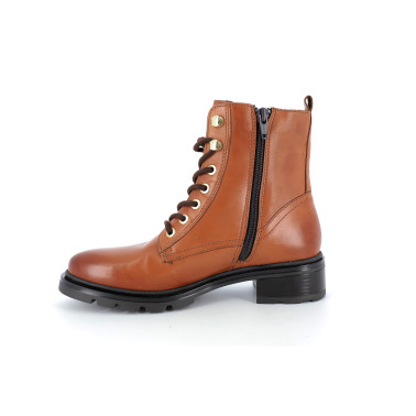 APALE 36 41