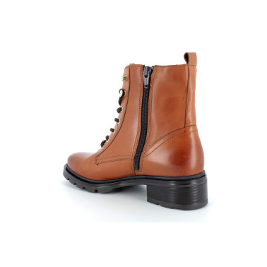 APALE 36 41