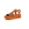 GAILLARD 36 41