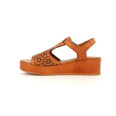GAILLARD 36 41