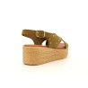 CARLION 36 40