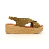 CARLION 36 40