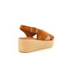 CARLION 36 40