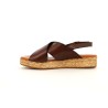 CARLON 35 41