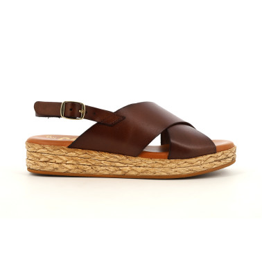 CARLON 35 41