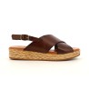 CARLON 35 41