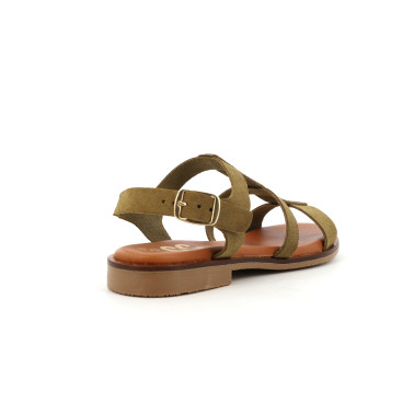 CARLASTRAS 35 41