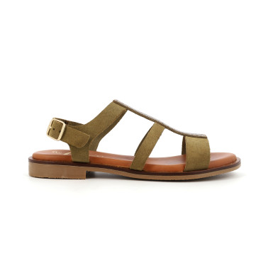 CARLASTRAS 35 41