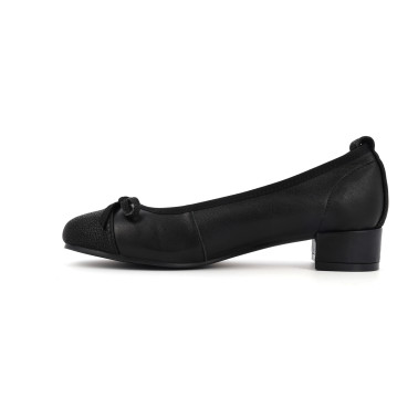 SHONA 36 41