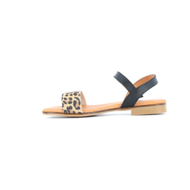 EVALOPI 35 41