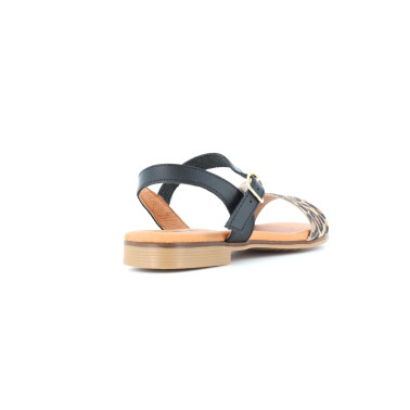 EVALOPI 35 41